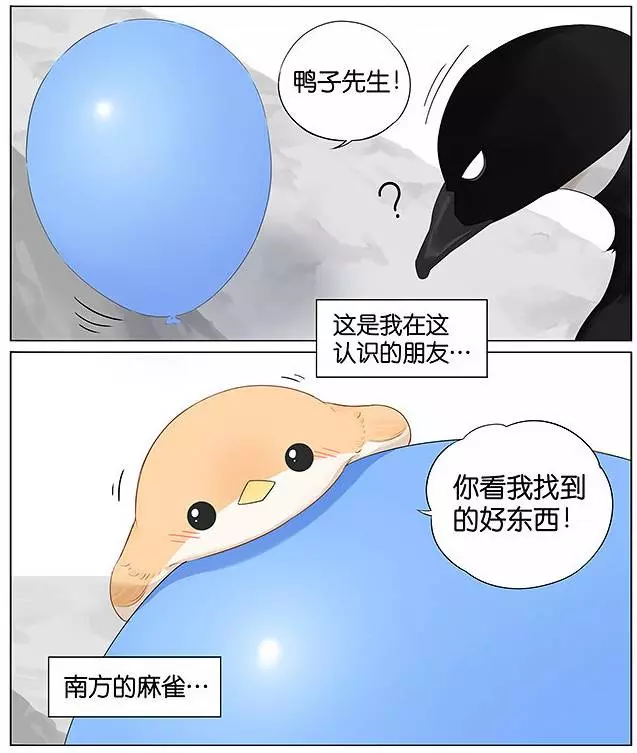 「南方的傲驕雁」遇上「北方的呆萌雀」最萌新作 下雨的超有愛反應害網友心動了!