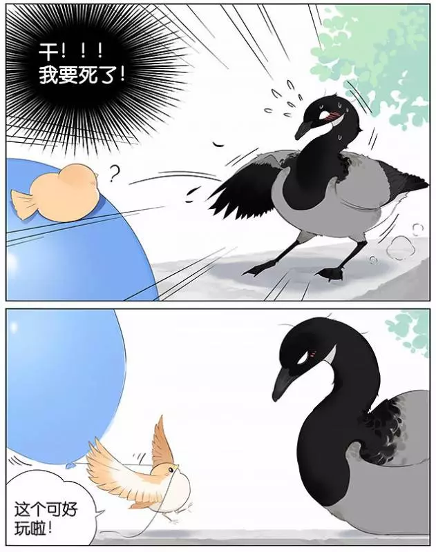 「南方的傲驕雁」遇上「北方的呆萌雀」最萌新作 下雨的超有愛反應害網友心動了!