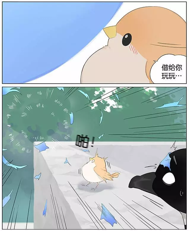 「南方的傲驕雁」遇上「北方的呆萌雀」最萌新作 下雨的超有愛反應害網友心動了!