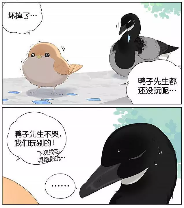 「南方的傲驕雁」遇上「北方的呆萌雀」最萌新作 下雨的超有愛反應害網友心動了!
