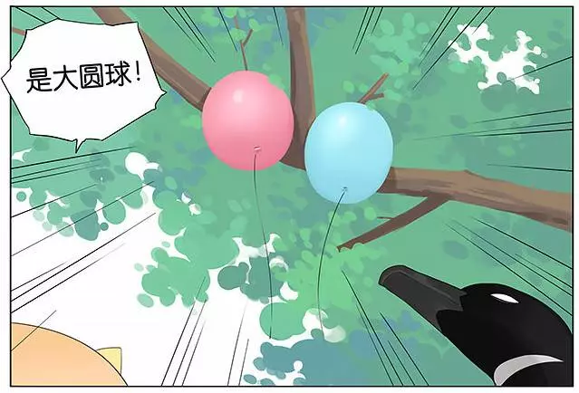 「南方的傲驕雁」遇上「北方的呆萌雀」最萌新作 下雨的超有愛反應害網友心動了!