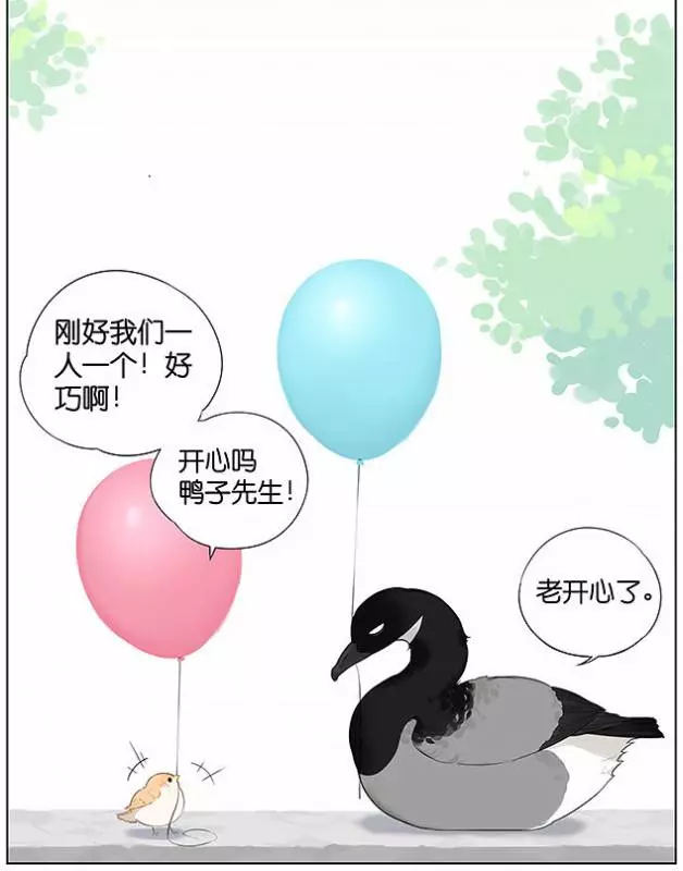 「南方的傲驕雁」遇上「北方的呆萌雀」最萌新作 下雨的超有愛反應害網友心動了!