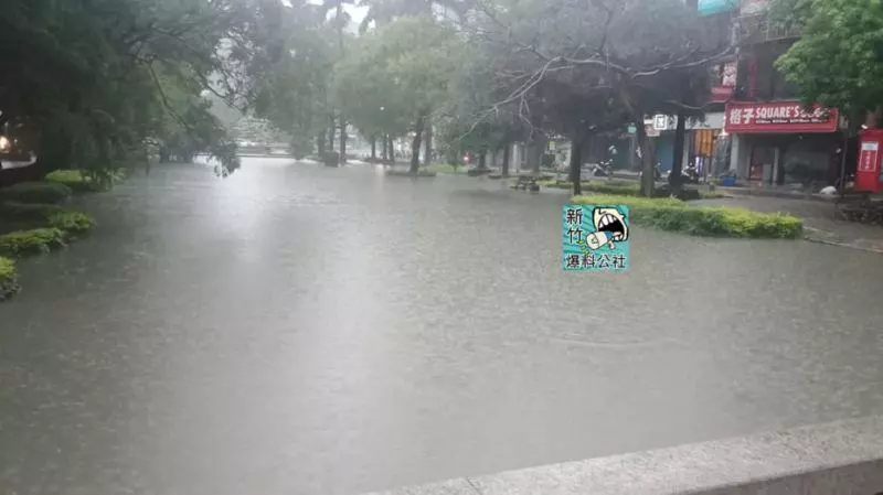 桃竹雷雨胞狂炸!新竹逾5路段淹水 斜坡瞬間變小瀑布