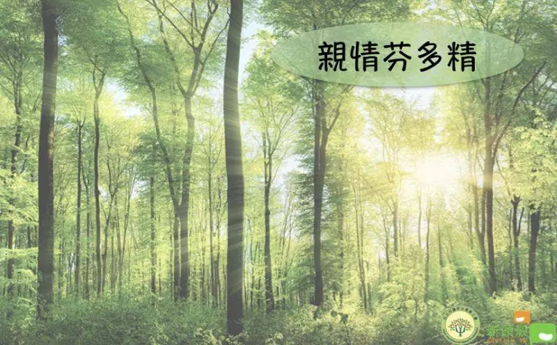 親情芬多精》有效溝通的五大要點