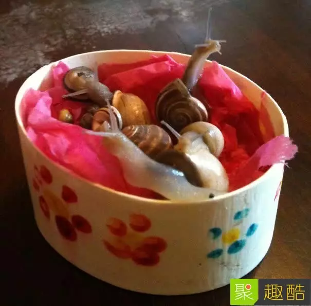 30個會讓終於下定決心不生孩子的「超過分小孩禮物」!