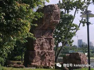 中國領導人點贊的新加坡聖淘沙,究竟是怎樣一種存在