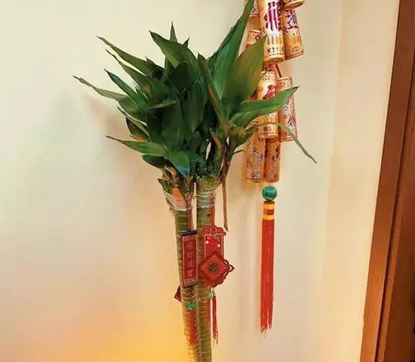 李嘉欣望子成龍,秘請風水師助陣兒子學業,8歲兒今讀名校成學霸!
