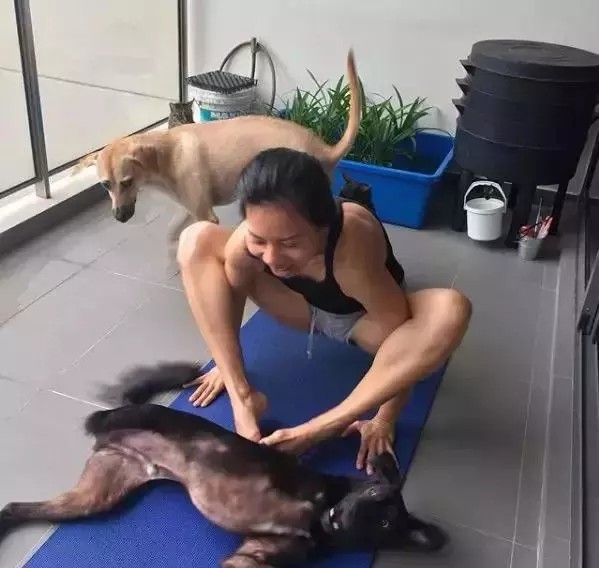 養一隻有缺陷的狗狗,需要多大的勇氣?