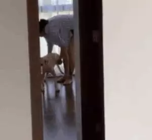 養一隻有缺陷的狗狗,需要多大的勇氣?