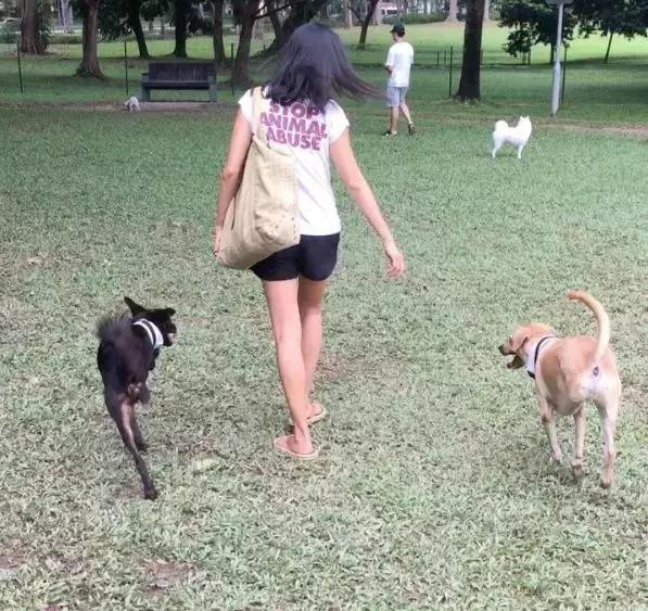 養一隻有缺陷的狗狗,需要多大的勇氣?
