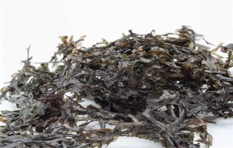 【黑心商家大揭秘】:你吃的是紫菜還是塑膠?吃了一年的紫菜,今天才恍然大悟3招教你辨別真假紫菜
