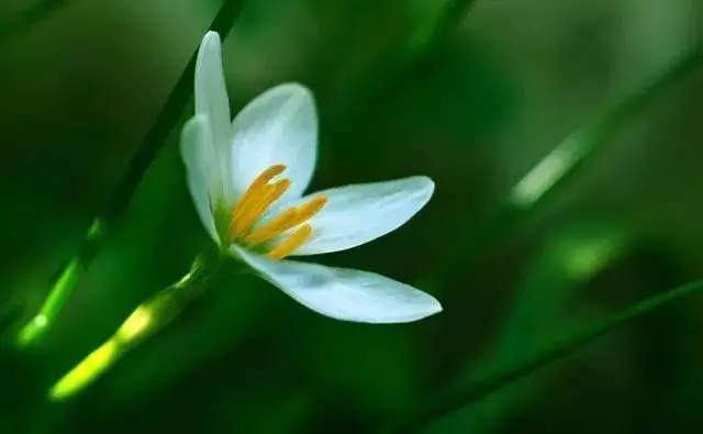 做人,再窮,別沒骨氣;做事,再難,別說放棄
