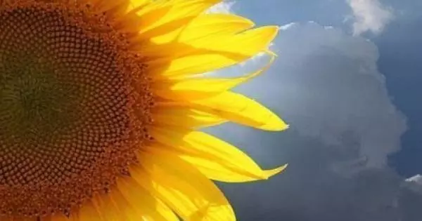 你未來的樣子,就藏在你現在的努力裡:女人一定要活成自己想要的模樣