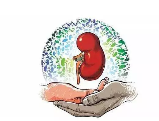 年過五十歲,應該清理腎臟了,每天做三分鐘【養腎操】,記憶力都變好了