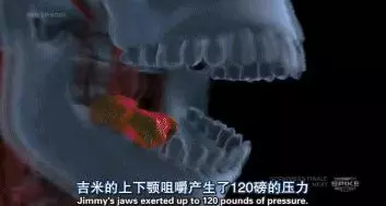 人類的1000種死法,真實版死神來了!|1000種死法 第六季 !