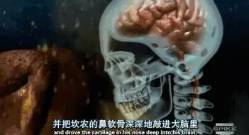 人類的1000種死法,真實版死神來了!|1000種死法 第六季 !