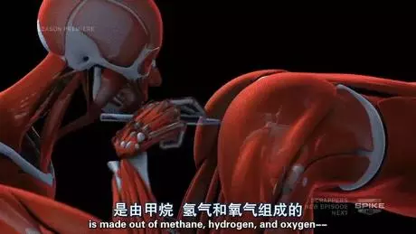 人類的1000種死法,真實版死神來了!|1000種死法 第六季 !