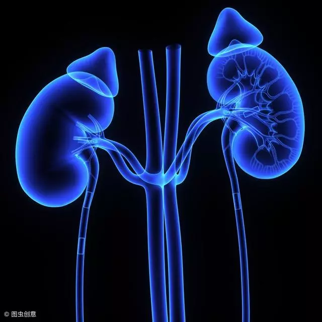 不想腎結石加速腎衰竭,飲食堅持做到「3少3多」,排石更輕鬆