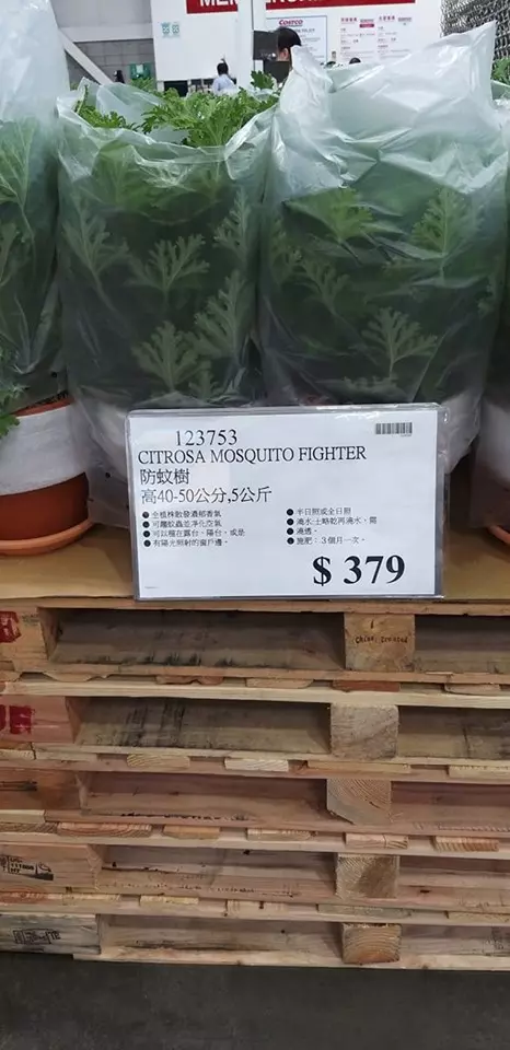 好市多379元防蚊產品超雷!網罵:根本反效果