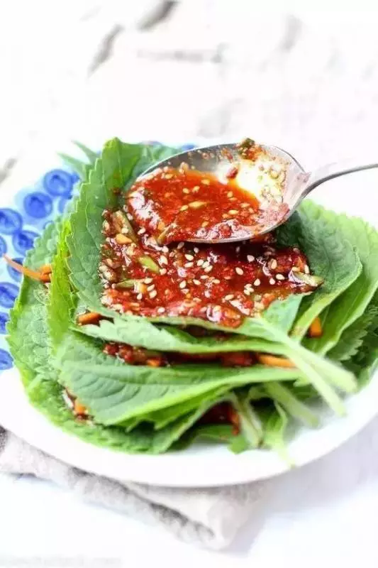 臺灣鄉下四種野菜雜草,隨處可見,比人蔘鹿茸功效好,多吃驅濕氣還能治病