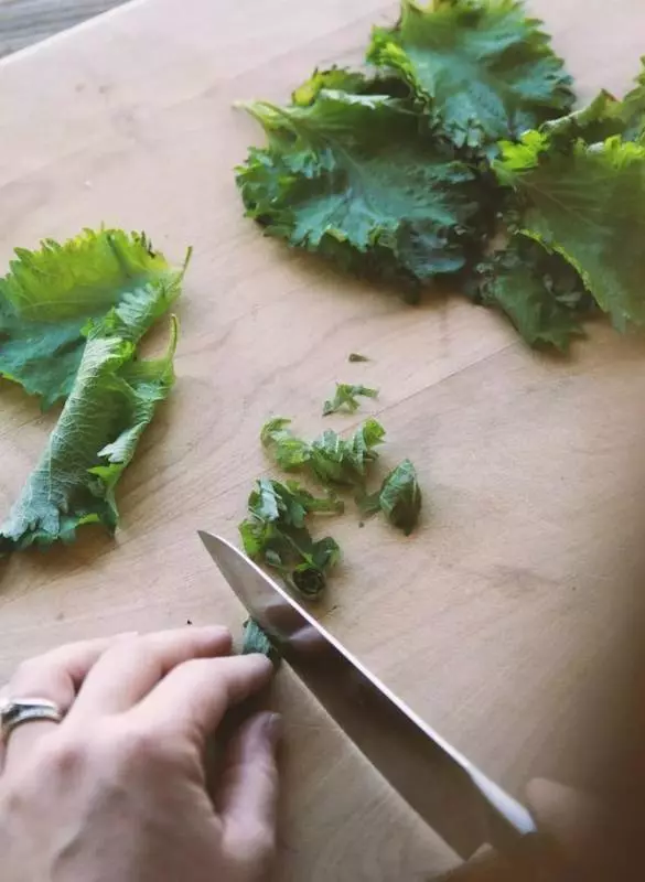 臺灣鄉下四種野菜雜草,隨處可見,比人蔘鹿茸功效好,多吃驅濕氣還能治病