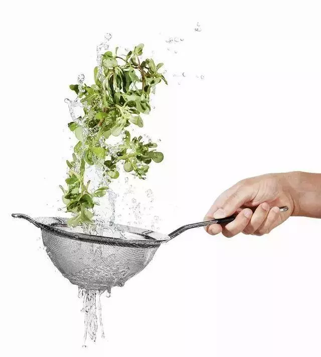 臺灣鄉下四種野菜雜草,隨處可見,比人蔘鹿茸功效好,多吃驅濕氣還能治病