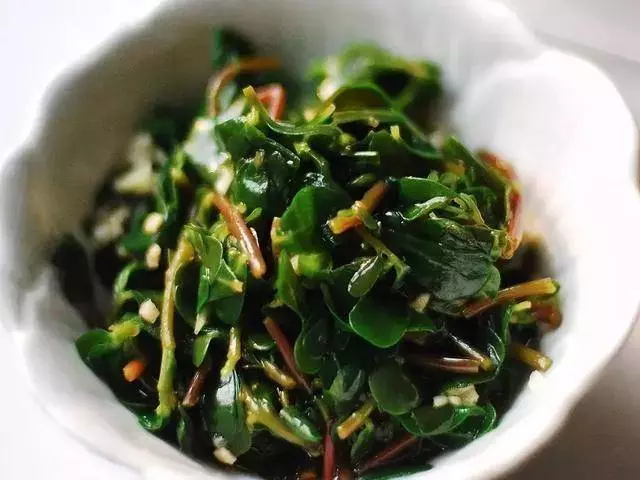 臺灣鄉下四種野菜雜草,隨處可見,比人蔘鹿茸功效好,多吃驅濕氣還能治病