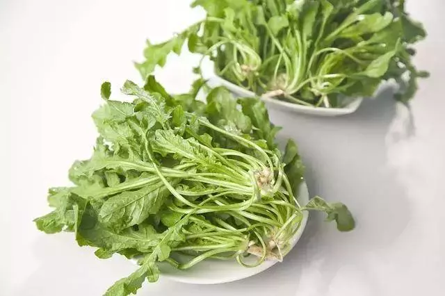 臺灣鄉下四種野菜雜草,隨處可見,比人蔘鹿茸功效好,多吃驅濕氣還能治病