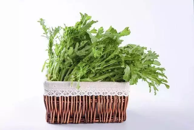 臺灣鄉下四種野菜雜草,隨處可見,比人蔘鹿茸功效好,多吃驅濕氣還能治病