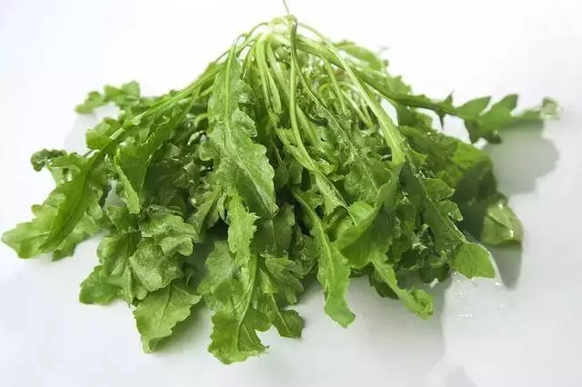 臺灣鄉下四種野菜雜草,隨處可見,比人蔘鹿茸功效好,多吃驅濕氣還能治病