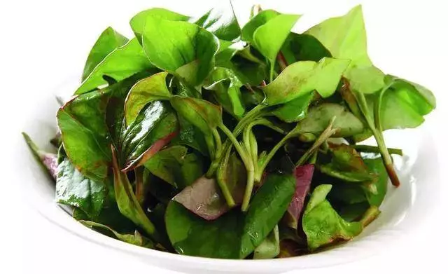 臺灣鄉下四種野菜雜草,隨處可見,比人蔘鹿茸功效好,多吃驅濕氣還能治病