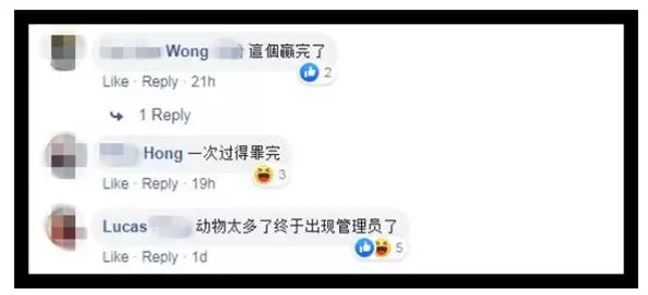 大馬品牌興起!宣稱要KO鹿角巷、老虎堂、熊黑堂!