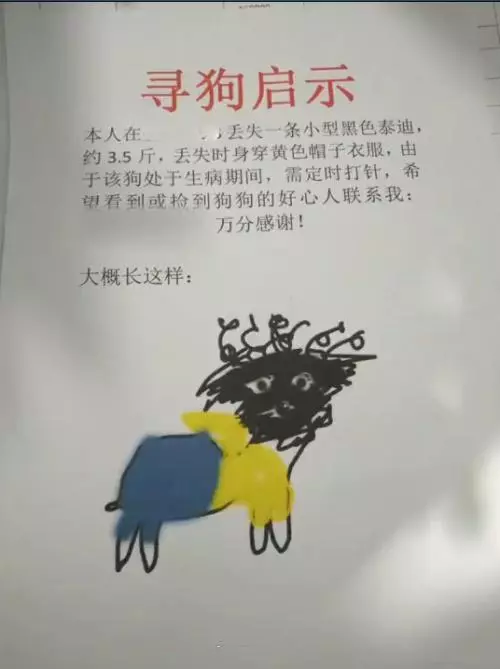 尋狗啟示貼「荒謬抽象畫」是在鬧? 數天後找回網看跪:本尊真的長這樣!