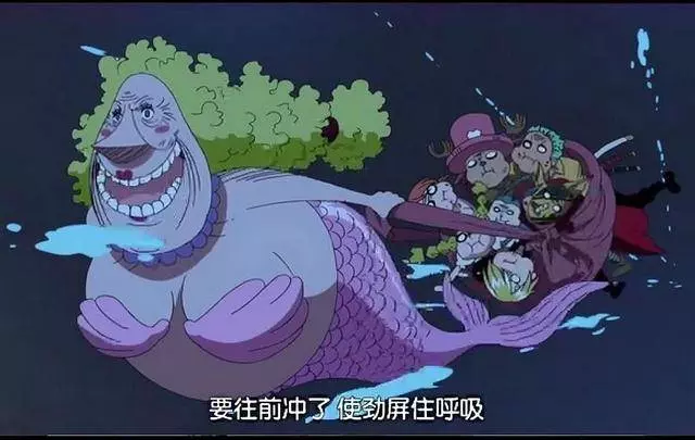 海賊王是男人的天下?敢胖揍卡普的是女人,兩人敢和羅傑談交情