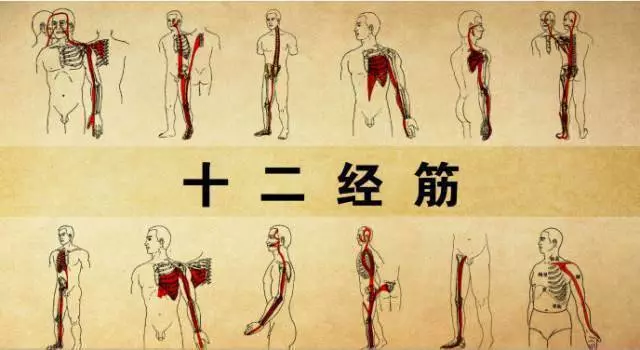 拉開身上「筋結」體內百病去。專家獨門拉筋法,8~80歲都適用!!!