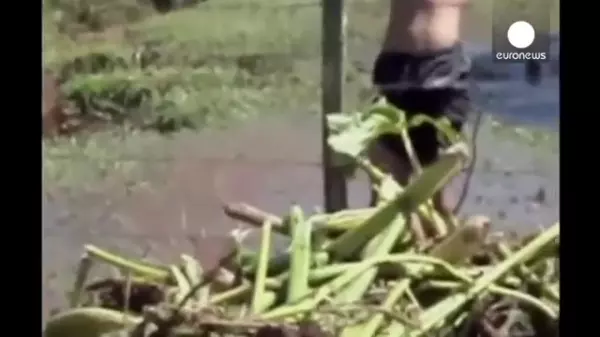 真實案件!巴西少年於水中清下水道,卻被突然吸下去!讓人看了頭皮發麻!