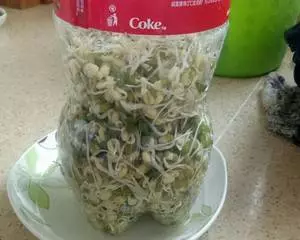濕氣重反反復複除不了根?夏天3種水果要少吃,越吃濕氣越重,很多人傻傻不清楚