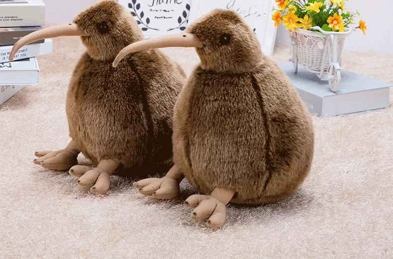 這麼圓滾滾超欠抱! 紐西蘭國寶「奇異鳥」變娃娃呆萌等收編