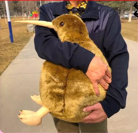 這麼圓滾滾超欠抱! 紐西蘭國寶「奇異鳥」變娃娃呆萌等收編