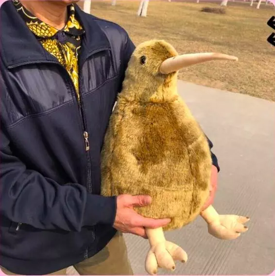 這麼圓滾滾超欠抱! 紐西蘭國寶「奇異鳥」變娃娃呆萌等收編