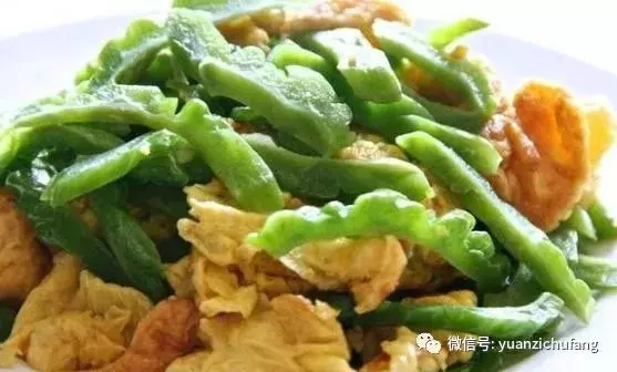 清熱又解暑,好吃還不貴的19道苦瓜做法,我能多吃兩碗飯!