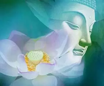 佛說:你捨掉什麼,就會得到什麼,做人不要太計較!(經典)