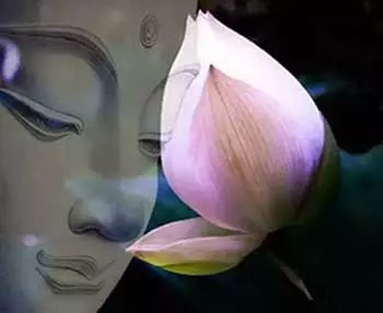佛說:你捨掉什麼,就會得到什麼,做人不要太計較!(經典)