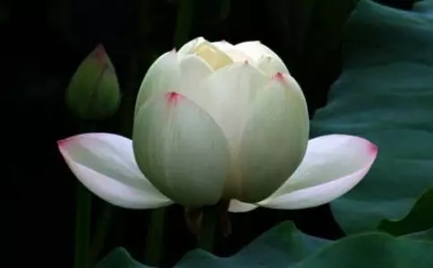 佛說:你捨掉什麼,就會得到什麼,做人不要太計較!(經典)