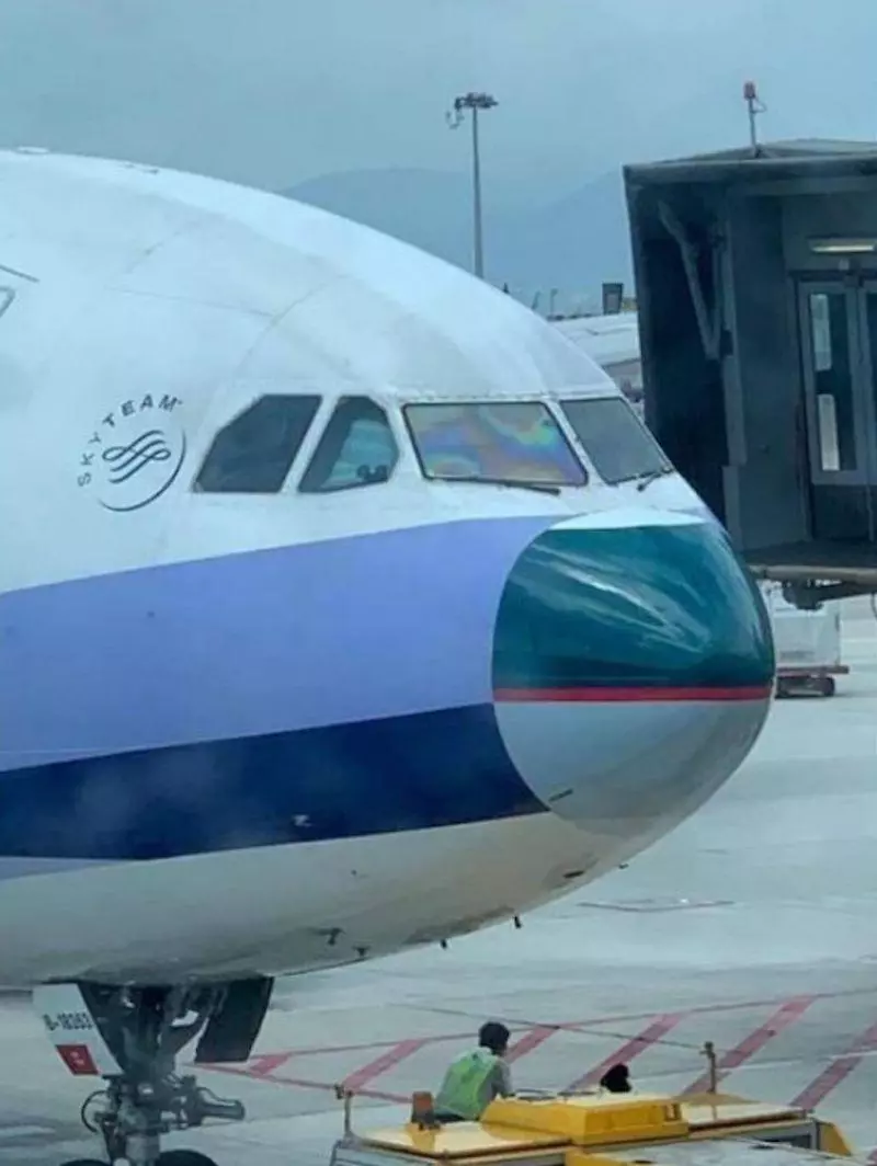 華航班機遭雷擊!借用國泰「機鼻混搭」 反差萌百人笑翻