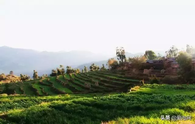 藏在大山深處的奇景,雲南武定己衣大裂谷,幾近原始的處女地!