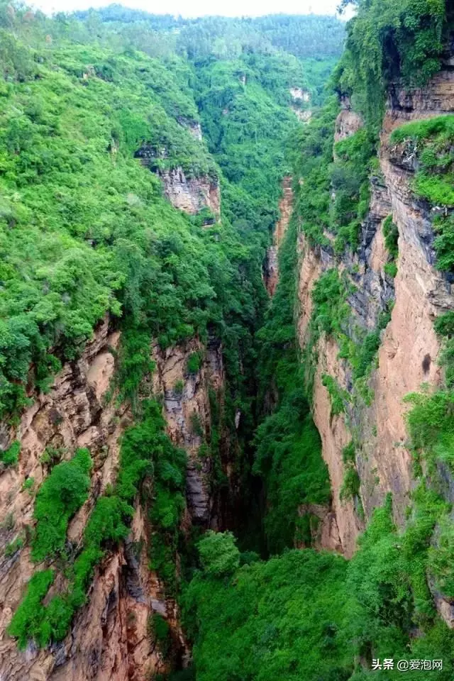 藏在大山深處的奇景,雲南武定己衣大裂谷,幾近原始的處女地!