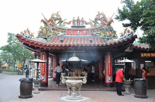 如果夢到蛇「請一定要做這件事」,民俗老師揭秘:這樣才會發大財