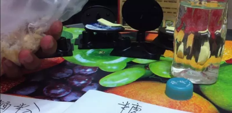 家中蟑螂常出沒超崩潰?教你自製DIY「蟑螂炸彈」,保證3年內不見小強影蹤!網友們試用後都狂推!