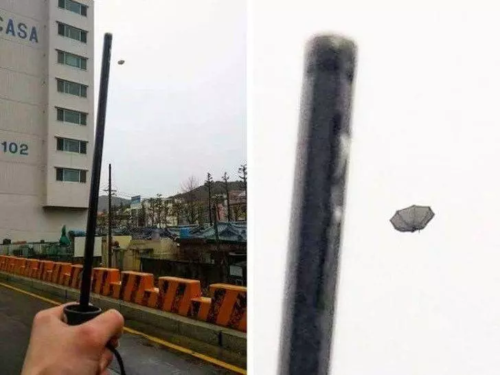 15個「不幸到衰鬼都想哭」的超級倒楣人照 貓咪就是悲劇來源!
